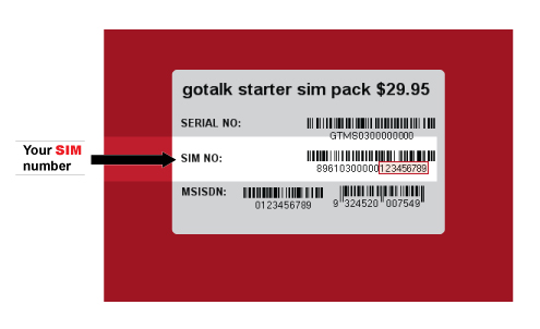 sim card numbers identifier number